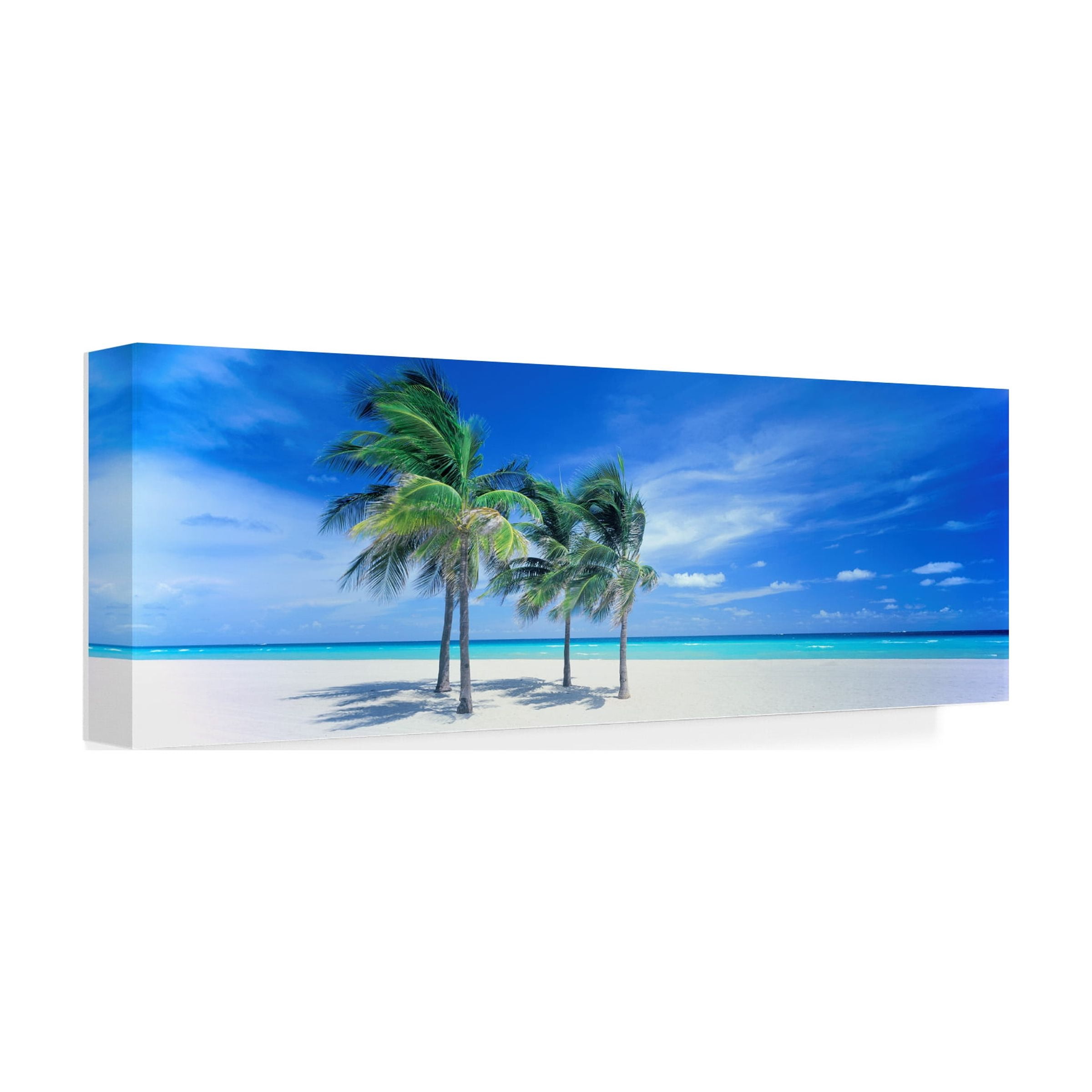 Trademark Fine Art 'Wish You Were Here' Canvas Art by Doug Cavanah