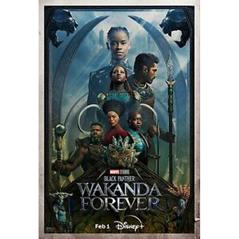  Black Panther: Wakanda Forever : Letitia Wright, Lupita  Nyong'o, Danai Gurira, Winston Duke, Angela Bassett, Tenoch Huerta, Martin  Freeman, Dominique Thorne, Florence Kasumba, Michaela Coel, Julia  Louis-Dreyfus, Michael B. Jordan, Ryan