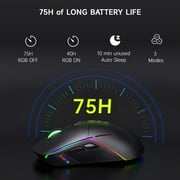 FFN Wireless Gaming Mouse,24000DPI Adjustable,6 Programmable Buttons,75H Battery,3 Mode 2.4GHz/Bluetooth 5.3/USB-C Wired, Rechargeable Gaming Mice for PC,Mac,Computer,Laptop,Tablet-Black