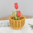 thumbnail image 5 of Blaxill Rattan Storage Basket, Home Decor, Wall Mounted Organizer, Kitchen Bathroom Basket, Woven, Portable, Party/Wedding, 5 of 6