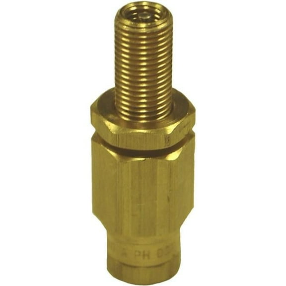 0.25 in. Air Tank Fill Inflation Valve, Brass - Pack of 2