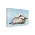 thumbnail image 2 of Stellar Design Studio 'Soft Brown Pelican I' Canvas Art, 2 of 3