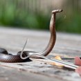 thumbnail image 4 of HOOWIFFY Attrape-serpent Télescopique en Acier Inoxydable Outil Portable Pliable pour Usage Extérieur, 4 of 8