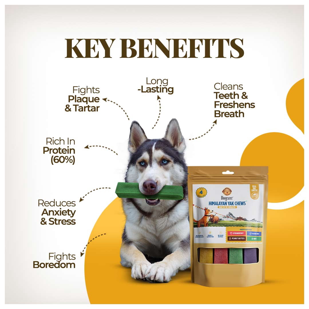 Dogsee Multiflavor Yak Chews (Strawberry, Blueberry, Peanut & Mint) - 1lb Large (4 chews) | Yak Cheese Dental Treats For Dogs | Reduces Stress & Anxiety | Dog Chews For Aggressive Chewers