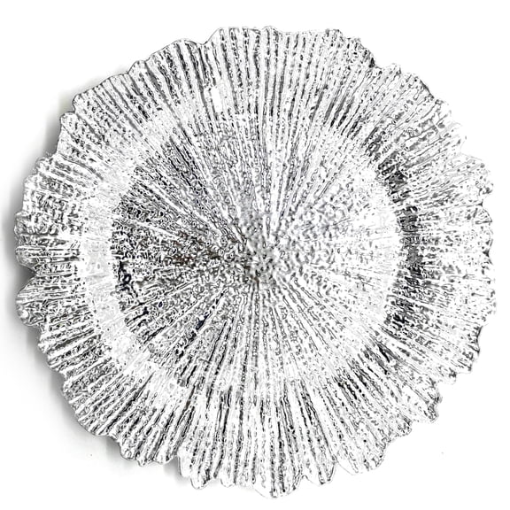 Allgala 13-Inch -Pack Heavy Quality Round Charger Plates-Reef Silver-HD80332