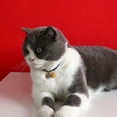 thumbnail image 7 of Mosey Practical Cat Necklace Chinese Style   Pet Accessories   Wear-resistant, 7 of 7