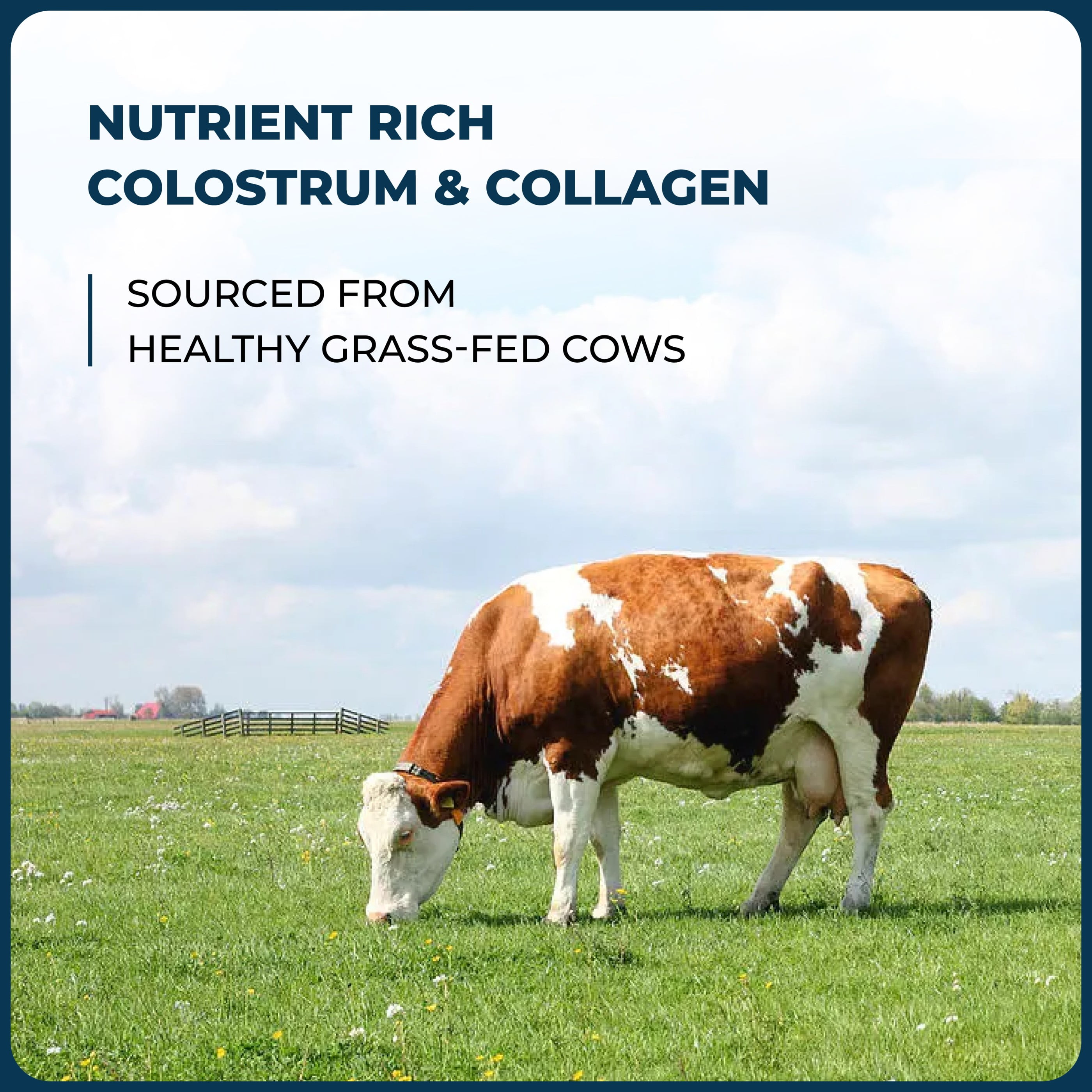 Sandhu's Colostrum with Collagen, 45 Servings, 522gms | Supports Immune, Skin, Nail and Hair Health | Made in USA