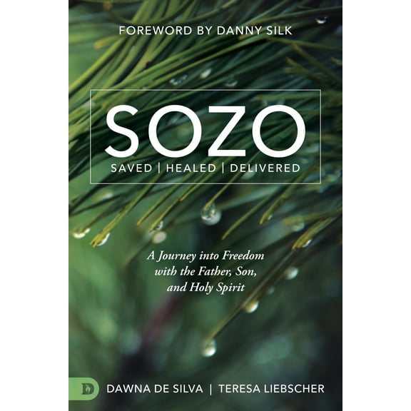 Pre-Owned SOZO Saved Healed Delivered: A Journey into Freedom with the Father, Son, and Holy Spirit (Paperback) 0768409152 9780768409154