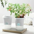 thumbnail image 4 of Coofit Plant Glow Kit Creative DIY Observing Planting Kit Growing Kit for Children, 4 of 6