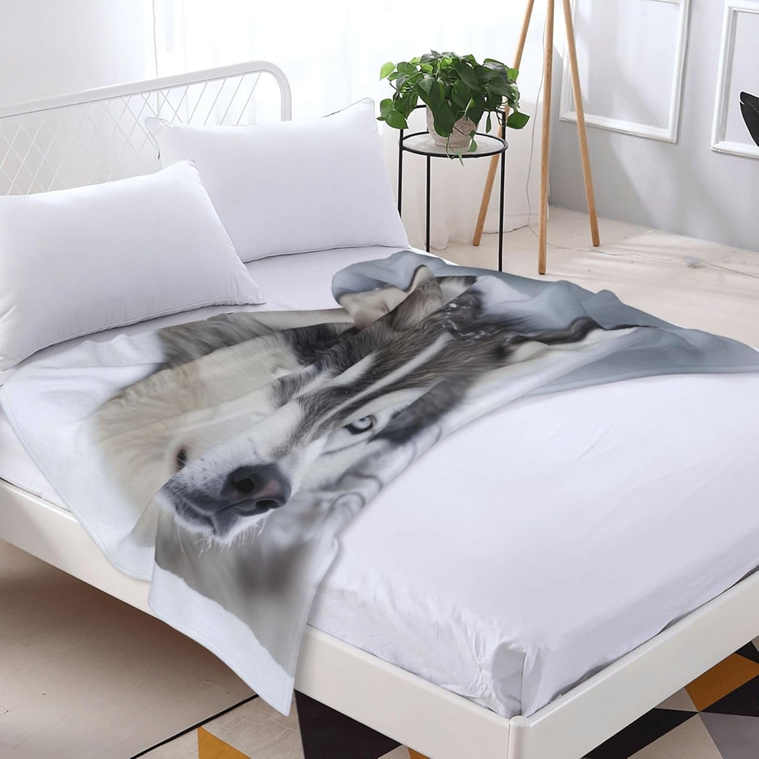 Cute Alaskan Malamute Blanket, Malamute Dog Gifts for Women Adults, Warm Lightweight Soft Winter Animal Alaskan Malamute Throw Blankets for Living Room Bed Sofa Home Decor 60x50