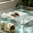 thumbnail image 4 of IDEANATEGRATE Plataforma Para Reptil Con Ventosas Para Trepar Y Sol En Acuario Resistente, 4 of 8