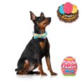 thumbnail image 3 of Collar de perro de estilo único con forma de patas de Pascua con lazo para perros, 3 of 6