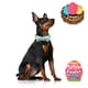 thumbnail image 3 of Collar de perro de estilo único con forma de patas de Pascua con lazo para perros, 3 of 6