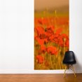 thumbnail image 4 of ADZif Fresk Field of Poppies Wall Mural, 4 of 5