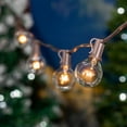 thumbnail image 6 of Novelty Lights 25 Feet Clear G30 Globe Outdoor Patio String Lights, Brown Wire, 6 of 8