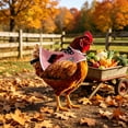 thumbnail image 5 of Tuvgenk Porch Goose Outfits 23" Summer Goose Clothes for Porch Goose Chicken Saddle / Hen Apron Cloth Yard Decor for Garden, 5 of 6