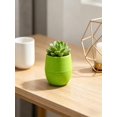 thumbnail image 4 of Mini Colorful Resin Planter Pots, Lightweight Compact Thick-Leaf Containers, Matte Textured Small Plant Vases for Desk Windowsill Indoor Garden Independence Day Greenery Layout Decor, 4 of 5
