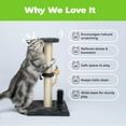 thumbnail image 3 of Best Pet Supplies Catify Climb n’ Scratch Tall Sisal Cat Scratcher Post w/ Toys & Brush, Gray, 3 of 6