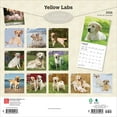 thumbnail image 2 of Yellow Labrador Retrievers | 2026 12x24" (Hanging) Wall Calendar | BrownTrout, 2 of 9