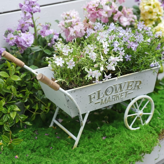 Vintage Metal Wheelbarrow Planter Cart, Small Flower Pot Holder for Indoor Outdoor Use, Rustic Farmhouse Garden Decor for Patio, Tabletop, Home Market Decor