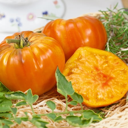 Striped German Tomato Seeds - 300 Mg Packet ~65 Seeds - Non-GMO Heirloom - Vegetable Garden - Solanum lycopersicum
