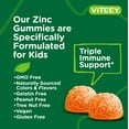 thumbnail image 6 of VITEEY Kids Zinc Gummies 10mg with Vitamin C and Echinacea, Kids Immune Support, Orange Flavor, 60 Ct, 6 of 7