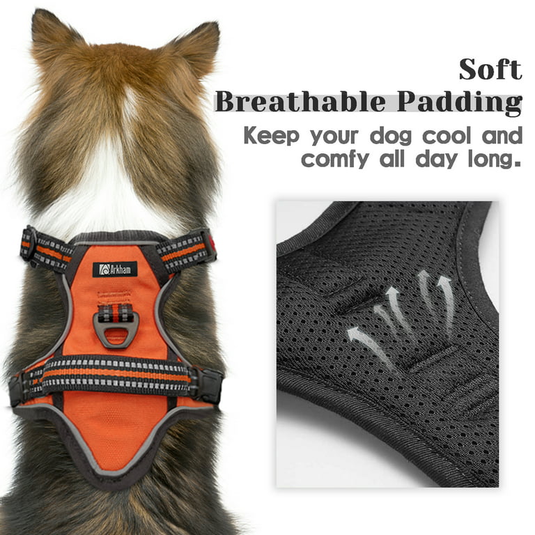 EXPAWLORER Upgraded No Pull Dog Harness with Leash Set - Adjustable  Reflective Dog Vest Harness with 3 Drings, Easy Control Handle, Hook and  Loop
