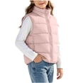 thumbnail image 2 of vokkrv Kids Solid Color Zip Up Sleeveless Jacket, Wind Resistant Warm Casual Outerwear, Fashion Daily Coat for Boys Girls Winter Outdoor Activities Pink 3-4 Years, 2 of 7