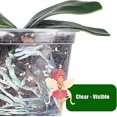 thumbnail image 3 of Macetas transparentes para orquídeas shaofei 12 paquetes 6 pulgadas 6,8 pulgadas 4,3 pulgadas 5 pulgadas, 3 of 5
