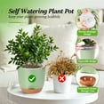 thumbnail image 2 of QCQHDU 7.2 Inch Self Watering Planters for Indoor Plants with Bottom Watering,2Pack Flower Plant Pots for Outdoor with Drainage, Durable Plastic planters Pots(Green), 2 of 6