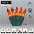 thumbnail image 2 of Kringle Traditions 50-Ct Indoor-Outdoor Orange Halloween Mini Light Set - 17' Green Wire, 2 of 6