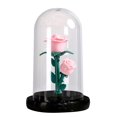 thumbnail image 1 of Atmósfera Noche Ligera Flower Preservado Regalos Rosa para Ella () White, 1 of 9