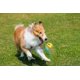 thumbnail image 4 of Dog Toy, Indestructible Dog Chew Toy, Interactive Dog Toy Ball Squeaky For Large Gift, 4 of 5