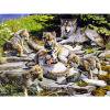 Wdftyju Kit de pintura de diamantes 5D, familia de lobos, taladro redondo completo, diamantes de imitación, manualidades de pared DIY Wdftyju 7dp0dw7tt4tw2hy5