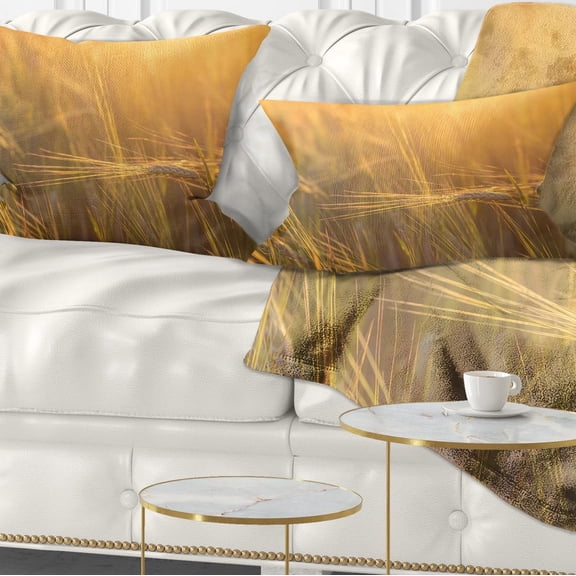 Designart Wheat Field Close up at Sunset - Landscape Printed Throw Pillow - 12x20