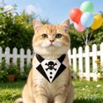 thumbnail image 5 of Halloween Pet Collar Costume Accessory, Skull Ghost Pumpkin Spider Bat Design Neck Bib Bandana for Small Medium Dogs Cats, Cute Holiday Dress Up Decor for Trick Or Treat Party Pet Photo Prop, 5 of 6