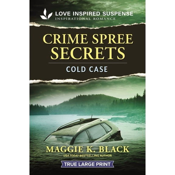 Unsolved Case Files Crime Spree Secrets, Book 5, (Paperback)