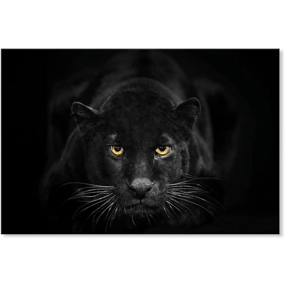 Aaheei Black Panther Canvas Wall Art Black and White Wildlife Animal Pictures Poster Print Artwork for Living Room Bedroom Kitchen Office Bathroom Decor