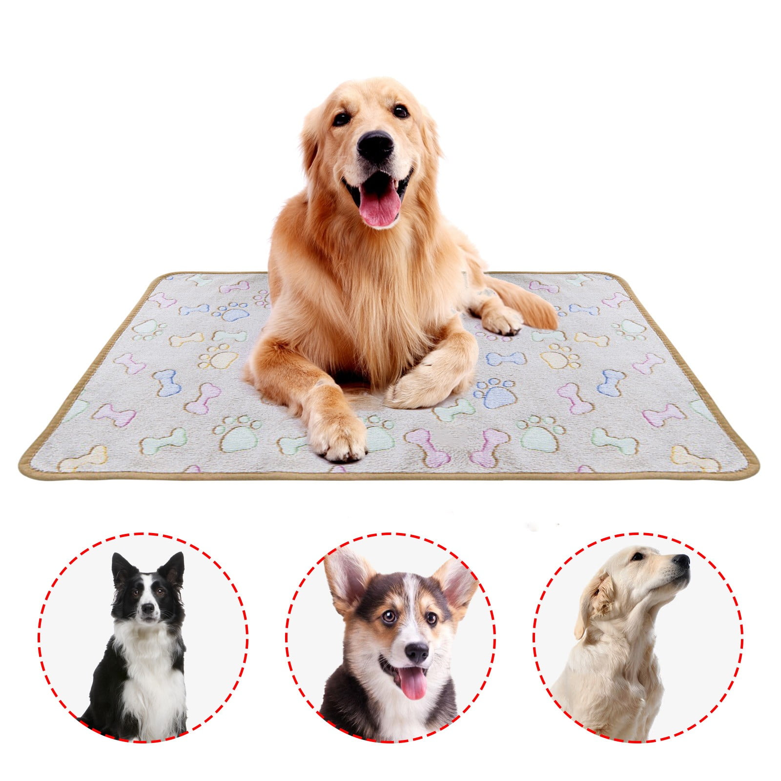 Can Dogs Sleep With A Harness On