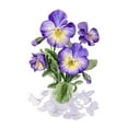 thumbnail image 3 of Popp, Grace 20x24 Black Modern Framed Museum Art Print Titled - Viola Pansies I, 3 of 5