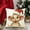 G, variant on LSLJS Pillow Covers & Linen - Throw Pillow Covers & Soft Breathable - 18x18 Pillow Cover for Couch Sofa Bed Living Room