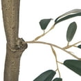 thumbnail image 4 of Vickerman 4' Artificial Potted Olive Tree., 4 of 8