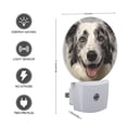 thumbnail image 3 of Night Light Plug into Wall,Dusk to Dawn Sensor Auto-On/Off for Bathroom, Hallway,Kids Room-Realistic Portrait Of Australian Shepherd Dog, 3 of 4