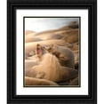 thumbnail image 1 of Karthik 15x18 Black Ornate Wood Framed with Double Matting Museum Art Print Titled - Elephant Seals Playing On A Beach, 1 of 4