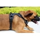 thumbnail image 3 of A pets life Arnés con Banda Reflejante para Perro(XL, Negro) A Pets Life HARNE-024, 3 of 7