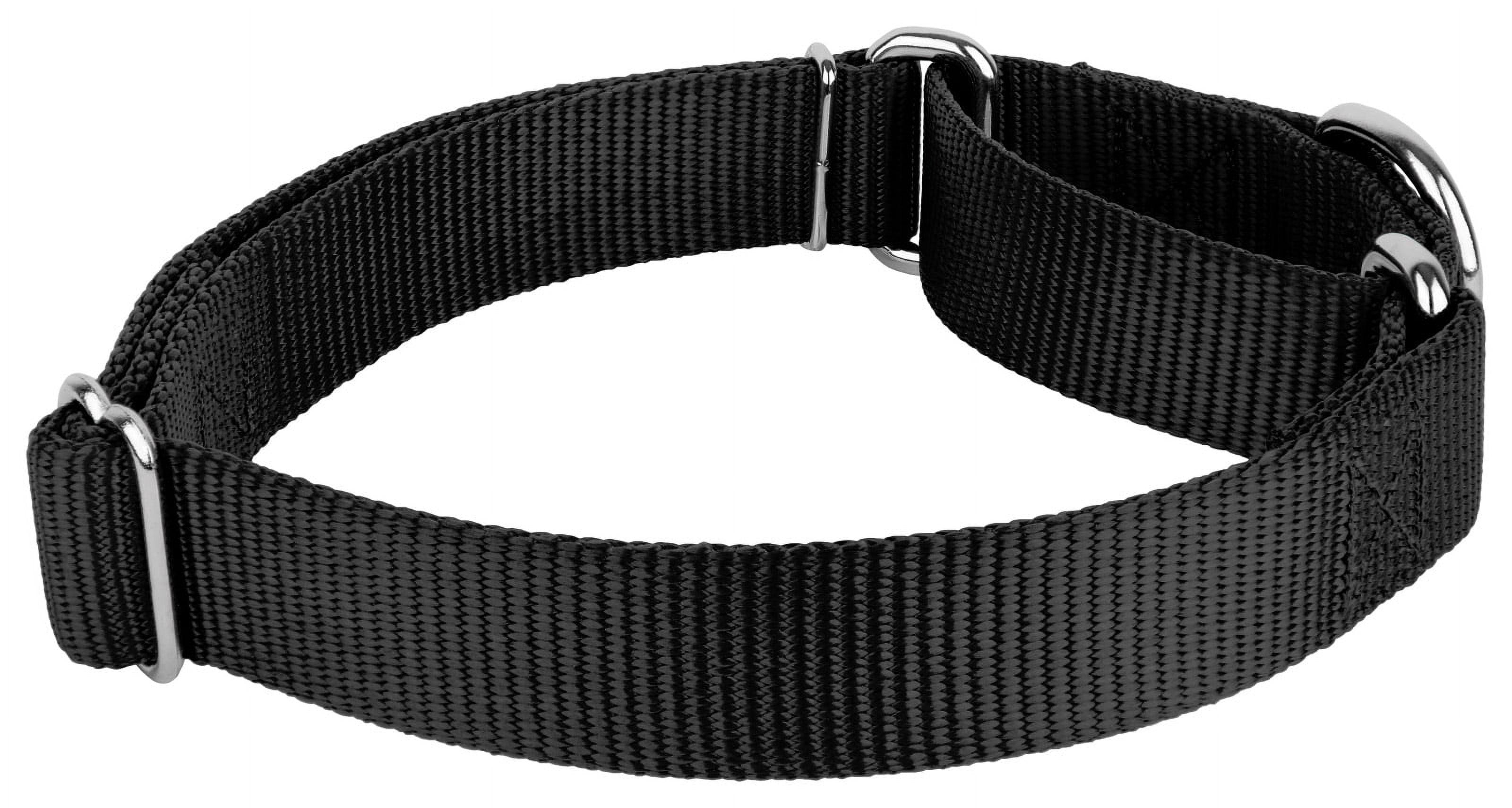 Country Brook Petz Black Martingale Heavyduty Nylon Dog Collar Extra Large Walmart