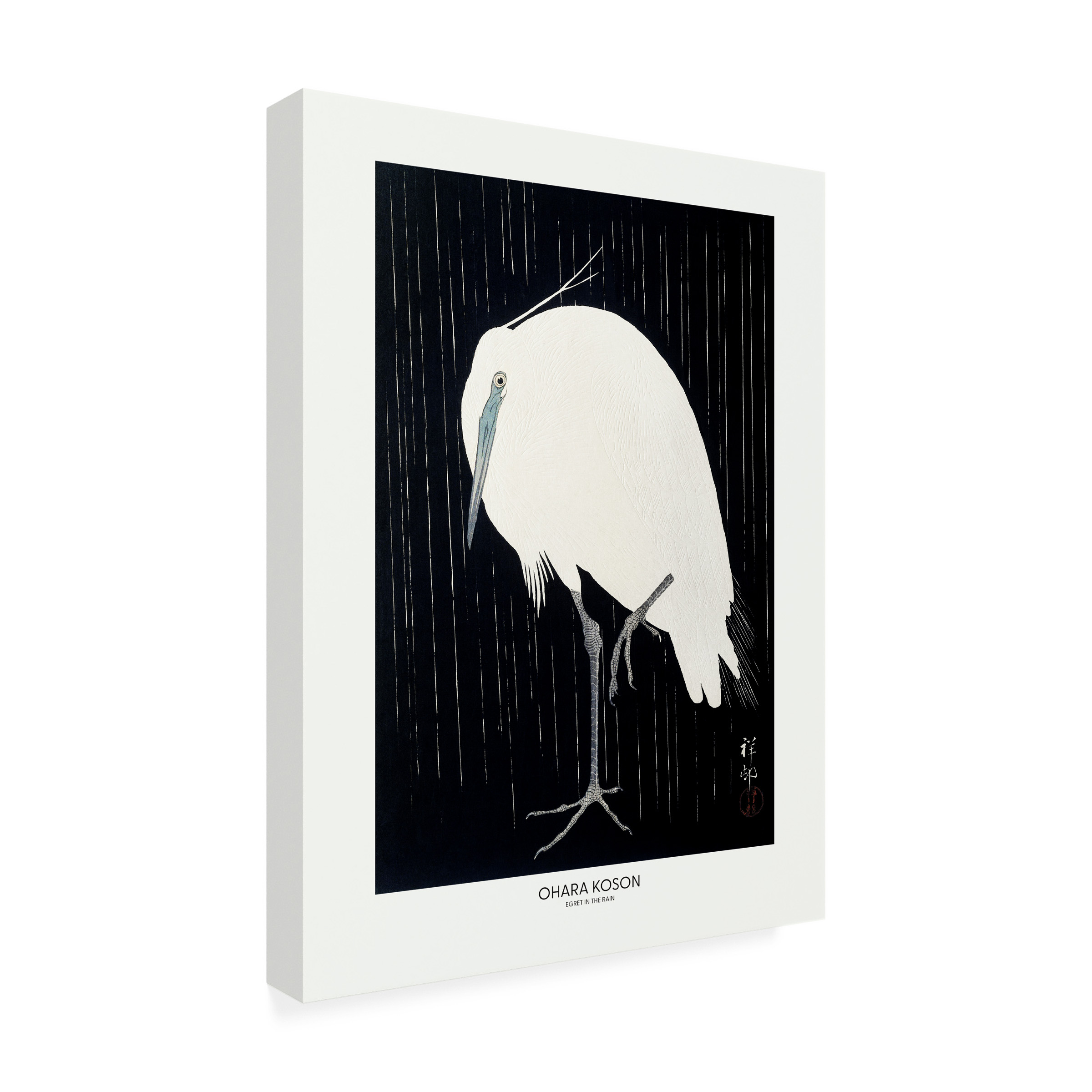 Pictufy 'Egret In The Rain' Canvas Art