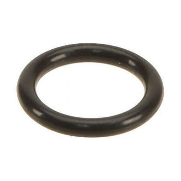 Fuel Pressure Regulator O-Ring - Compatible with 2006, 2018 - 2019 GS300