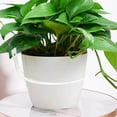 thumbnail image 7 of Metal Wall Mount Hanging Plant Pot Holder Ring, Modern Planter Hook For Balcony Patio Garden, 15.2cm Sturdy Stand For Flower Pot, 7 of 7