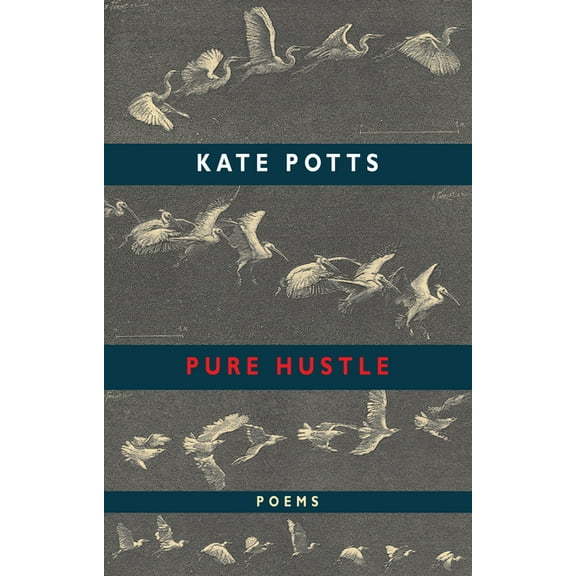 Pure Hustle (Paperback)